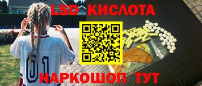шишки Брянск