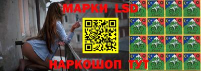 шишки Брянск
