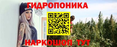 шишки Брянск