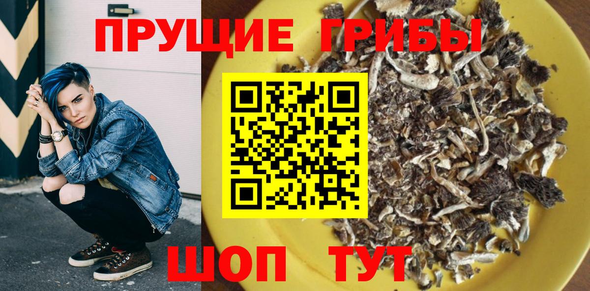 Галлюциногенные грибы Cubensis  Псилоцибиновые грибы GOLDEN TEACHER  Россошь  Вход с VPN 